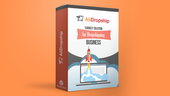 Blog 2-Alidropship Product Review